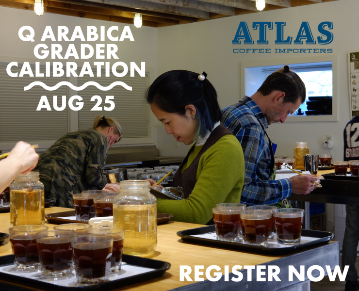 banner advertising atlas coffee importers q arabica grader calibration august 25 register now