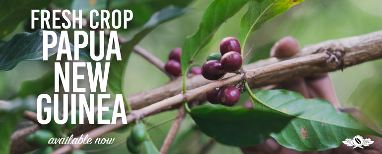 Cafe Imports banner advertising fresh crop papua new guinea available now